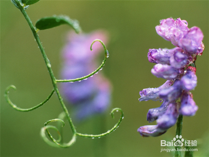 浅谈语文教学目标与方法