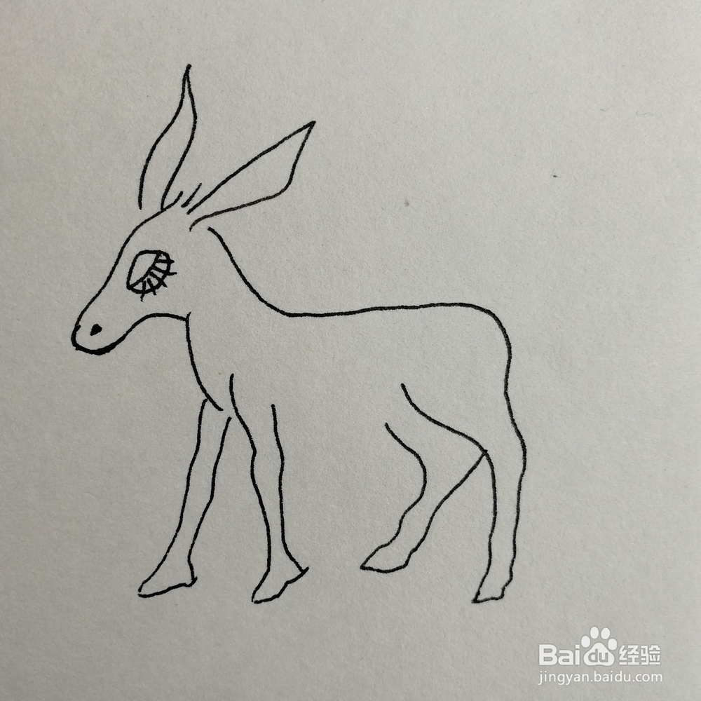 小毛驴儿童简笔画怎么画？