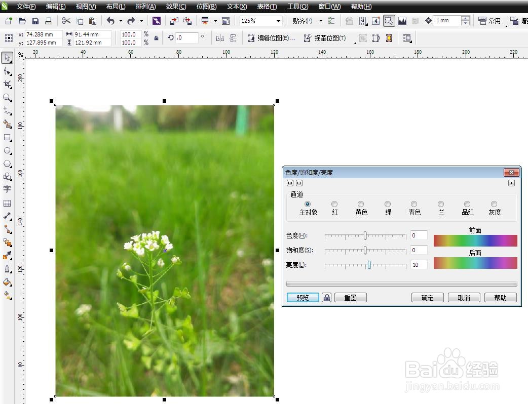 cdr里面如何将图片颜色调亮