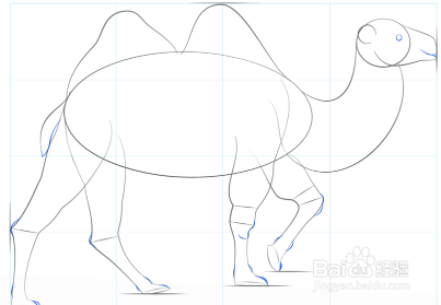 如何画一只骆驼