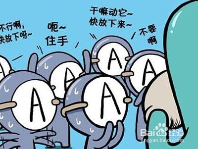 a型血女人的性格？