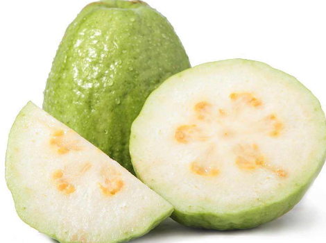 番石榴是寒性水果吗