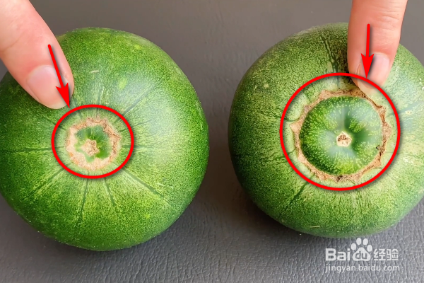 怎么挑选甜瓜又甜又好吃