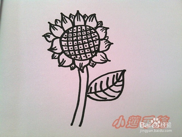 油画棒植物篇3向日葵