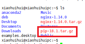 ubuntu 如何使用源文件安装pip
