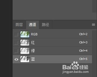PS通道抠图杂乱的树叶