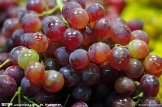 每个月吃什么水果最好