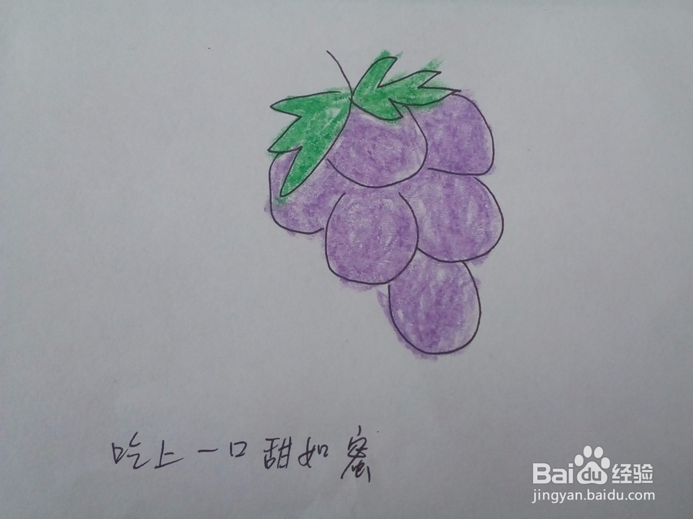 吃上一口甜如蜜的大葡萄 15