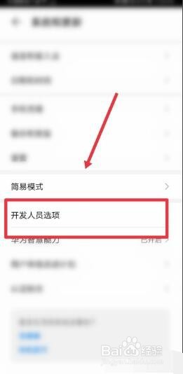 华为开发者模式干嘛的