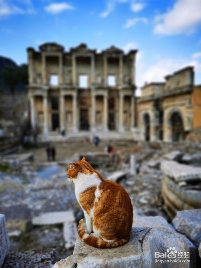 假期过后的土耳其旅行