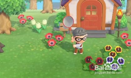 动物森友会怎么玩
