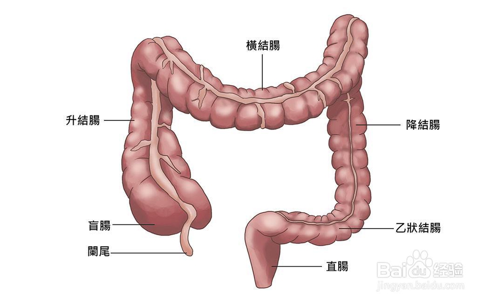 便秘怎么办便秘吃什么药