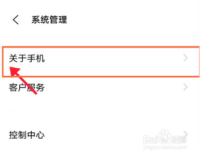 vivo手机版本信息在哪里打开