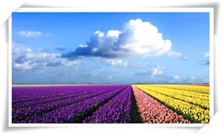 旅游的注意事项及带给我们的收获