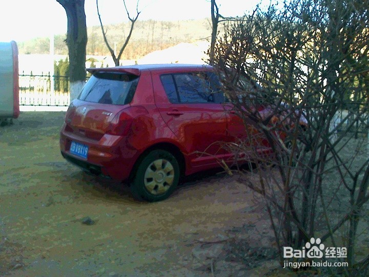 冬天植被怎样养护