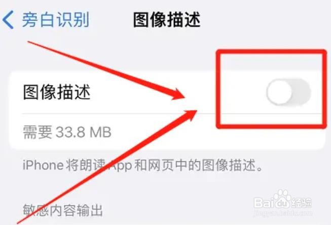 苹果手机的图像描述功能咋关闭