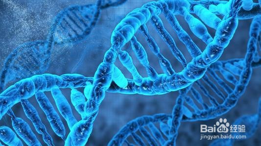 中医治疗共济失调