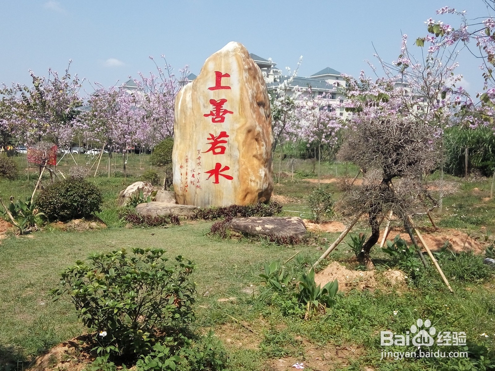 【校园指南】广东水院拍照胜地篇