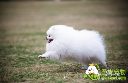 维生素K缺乏症的诊断和治疗