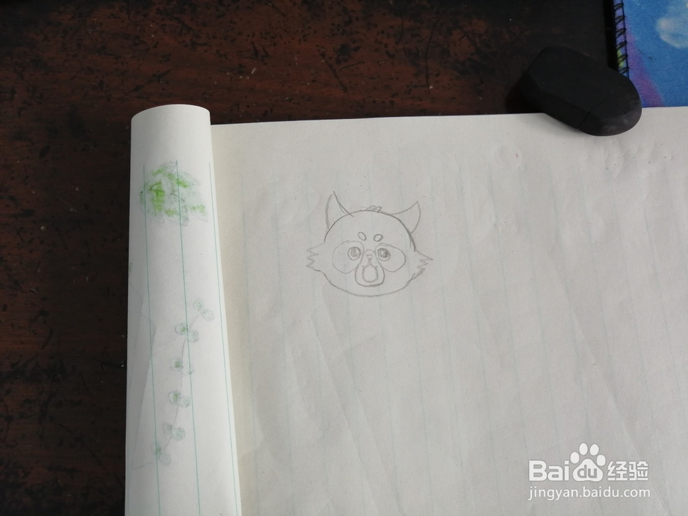 简笔画之小浣熊怎么画