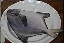 小朋友一定会喜欢的味道【酱焖鲳鱼】