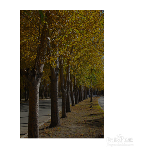 ps怎么把图片变清晰?