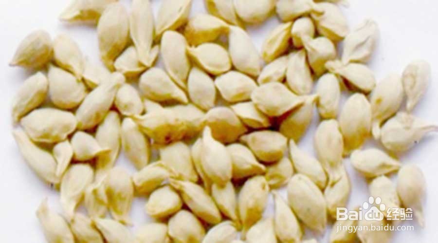 橘核的功效与作用