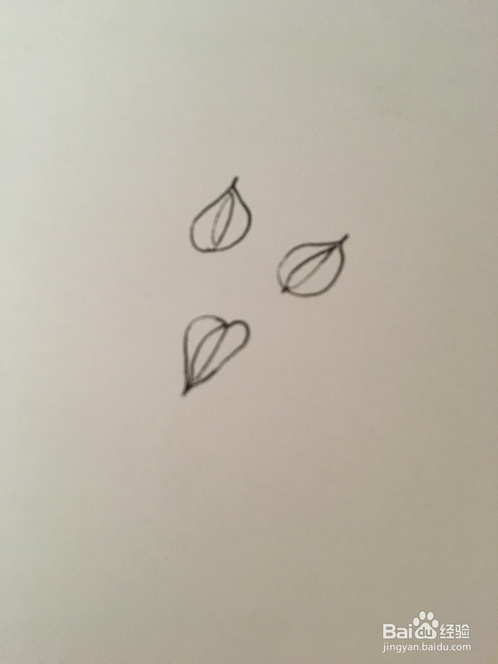 幼儿简笔画：马蹄莲花的画法