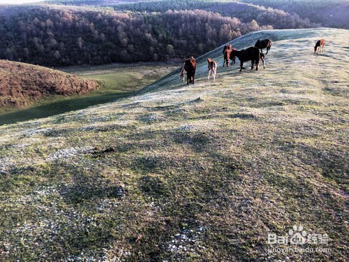 白石咀牧场旅游攻略