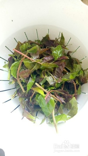 食补佳品香椿芽炒鸡蛋的做法