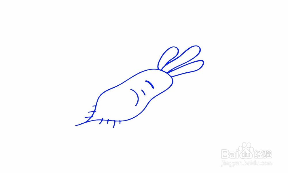 简笔画萝卜怎么画？