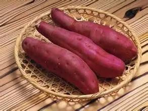 冬日首选养生佳品