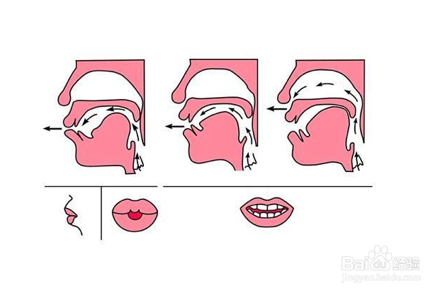鼻音发音时,口腔通路完全闭塞,软腭下垂,气流振动声带后由鼻腔流出