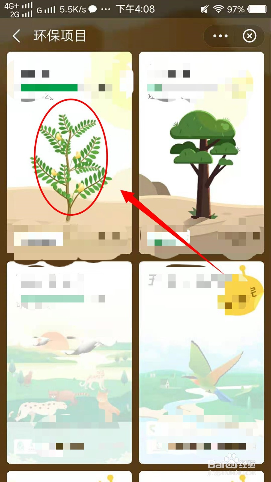 怎样在蚂蚁森林种树