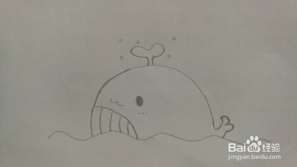 鲸鱼——简笔画