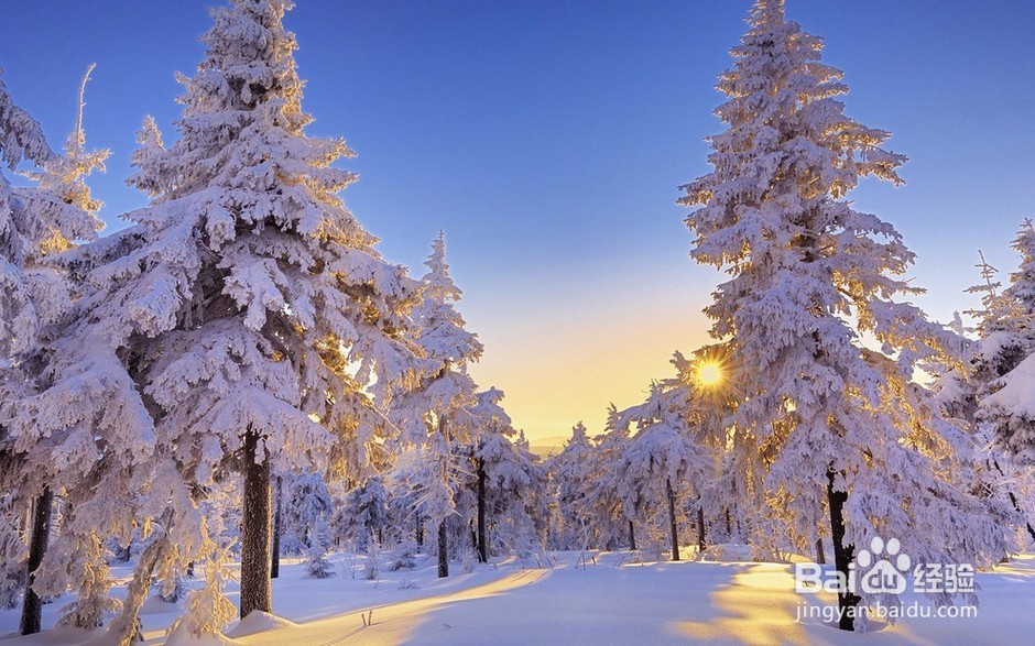 发现地球独特美镜头下的神奇大千