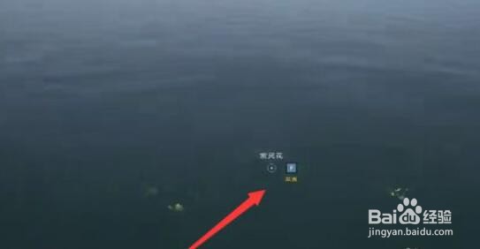 太荒初境紫灵花采集方法