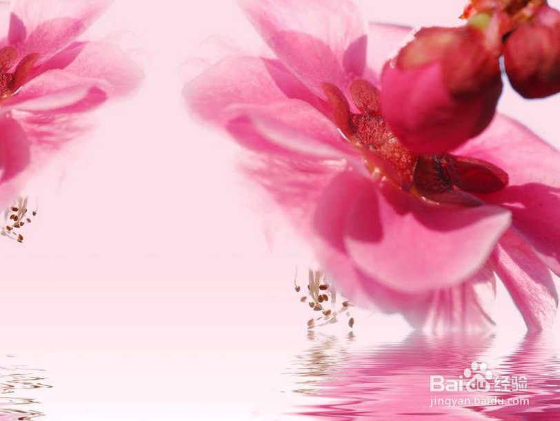 想要在职场中立足,心动不如争气,拿得起放得下