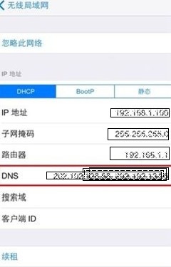 iPhone如何设置DNS？iphone dns？