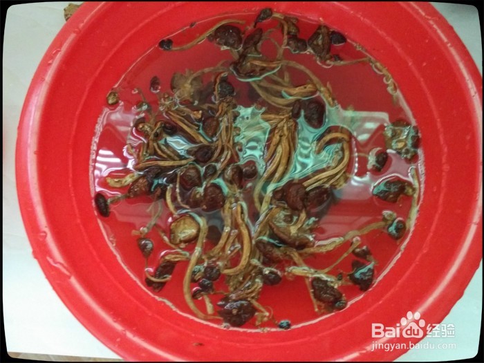 #美食#如何做茶树菇炖排骨呢?