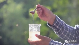 浓缩蜂蜜和成熟蜂蜜有什么区别