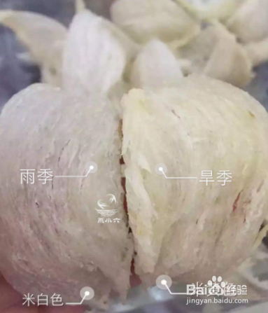 燕窝的价格 好的燕窝多少钱一克