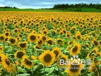 <b>广州旅游攻略_广州几个值得一去的旅游景点推荐</b>