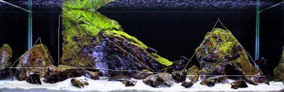 三湖慈鲷鱼缸造景