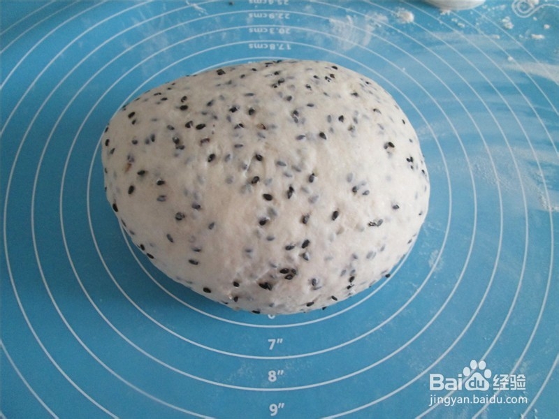 奶香黑芝麻发面饼