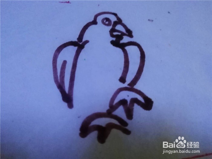怎么样用简笔画画鹦鹉