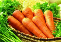 冬季养生哪些食物好