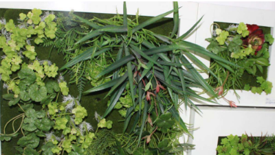 如何让植物墙更美