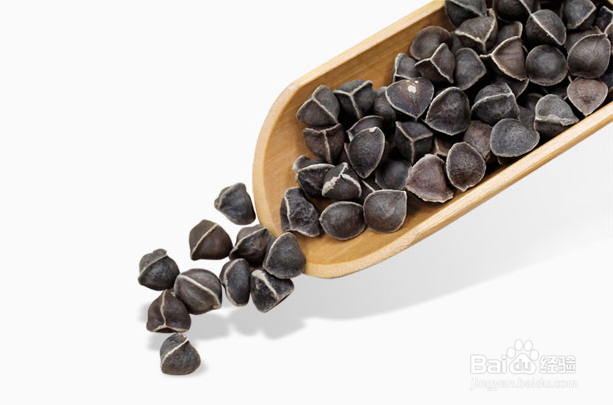 辣木籽怎么吃?三种吃法很是重要!