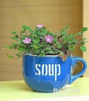 水杯如何巧变花篮?